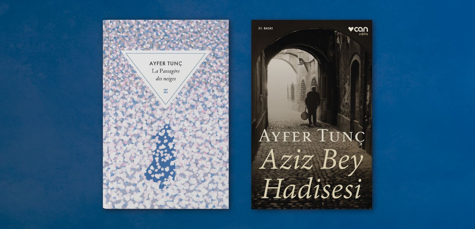 Ayfer Tunç’a Fransa-Türkiye Edebiyat Ödülü