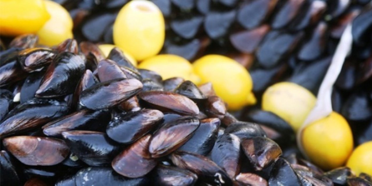 Bir zehirlenme haberi de Bursa'dan: Midye yiyen 4 kişi hastaneye kaldırıldı