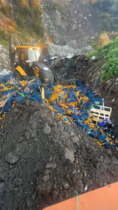 Skandal üstüne skandal: Bakanlık 6 ton mandalinayı plastik kasalarla toprağa gömdü