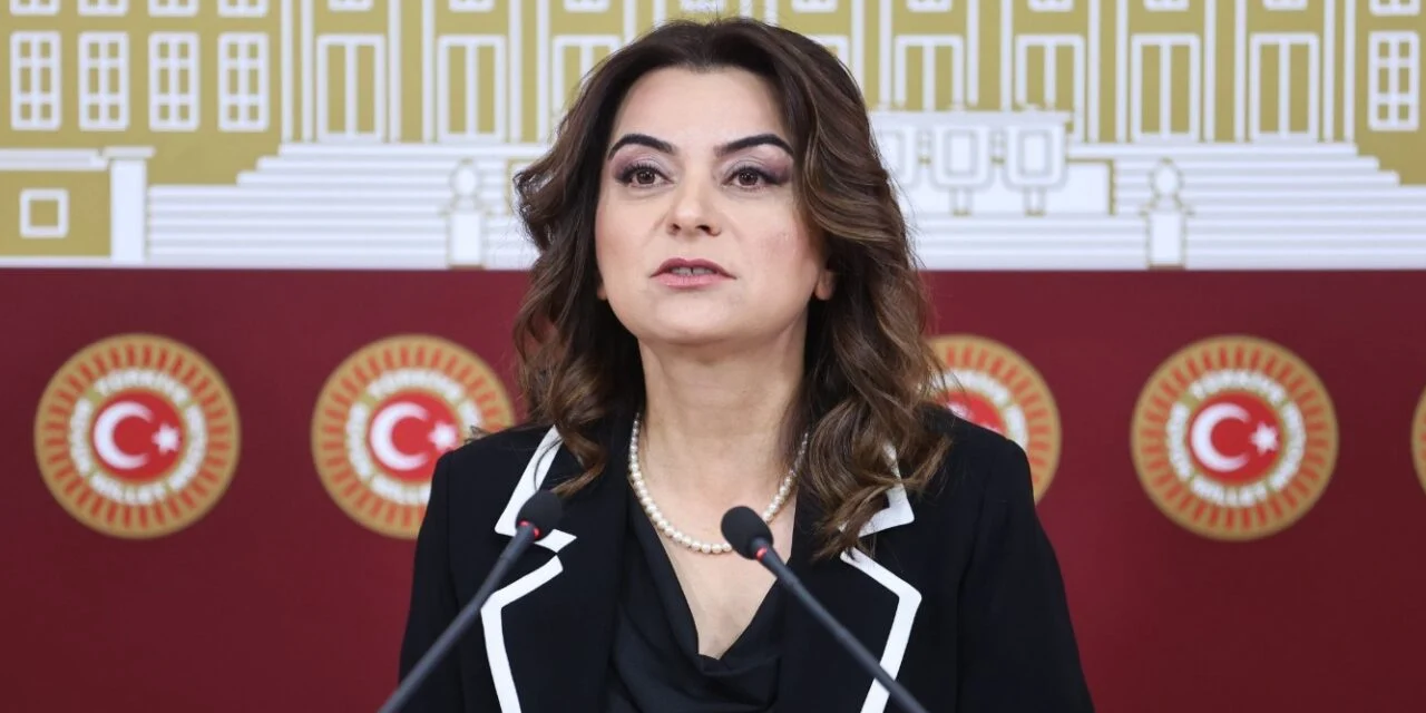 İmralı’ya giden DEM Partili Koçyiğit'ten ilk açıklama: Komisyonu ilk elden bildireceğiz