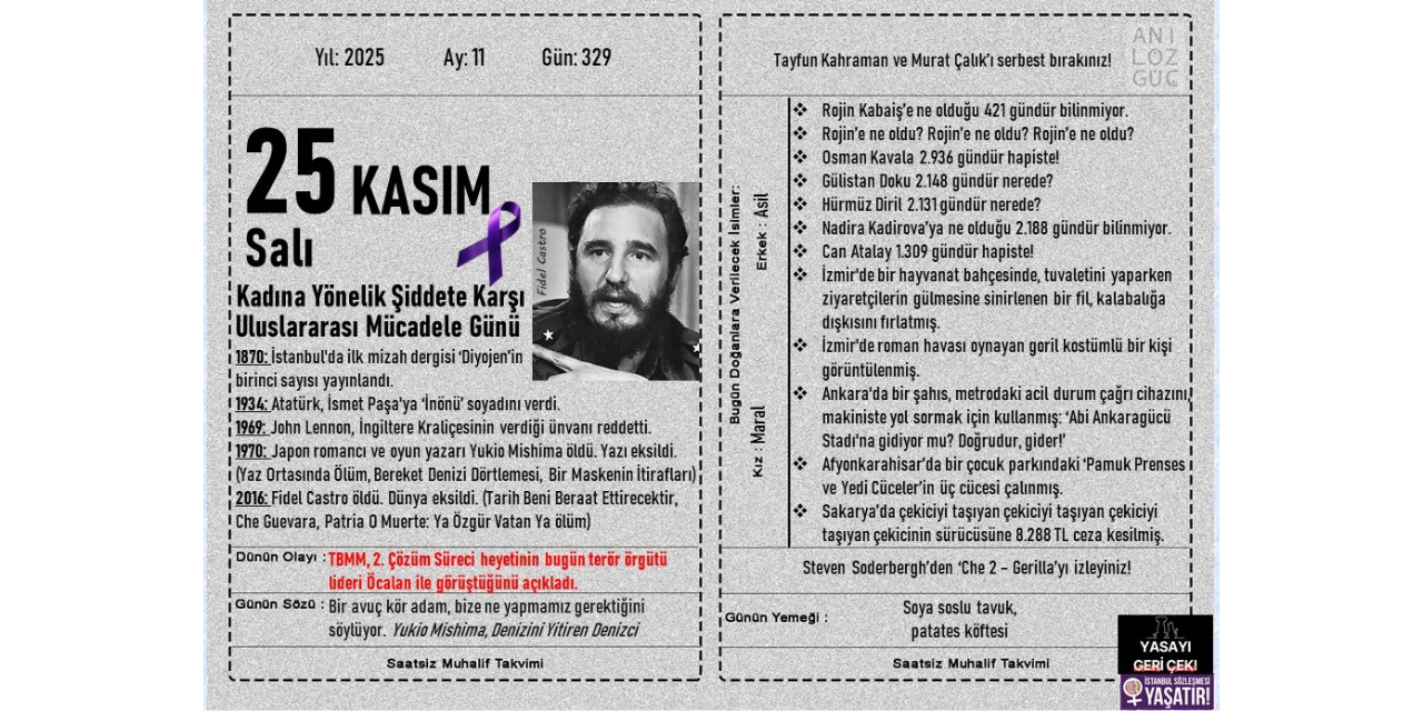 Kadına Yönelik Şiddete Karşı Uluslararası Mücadele Günü