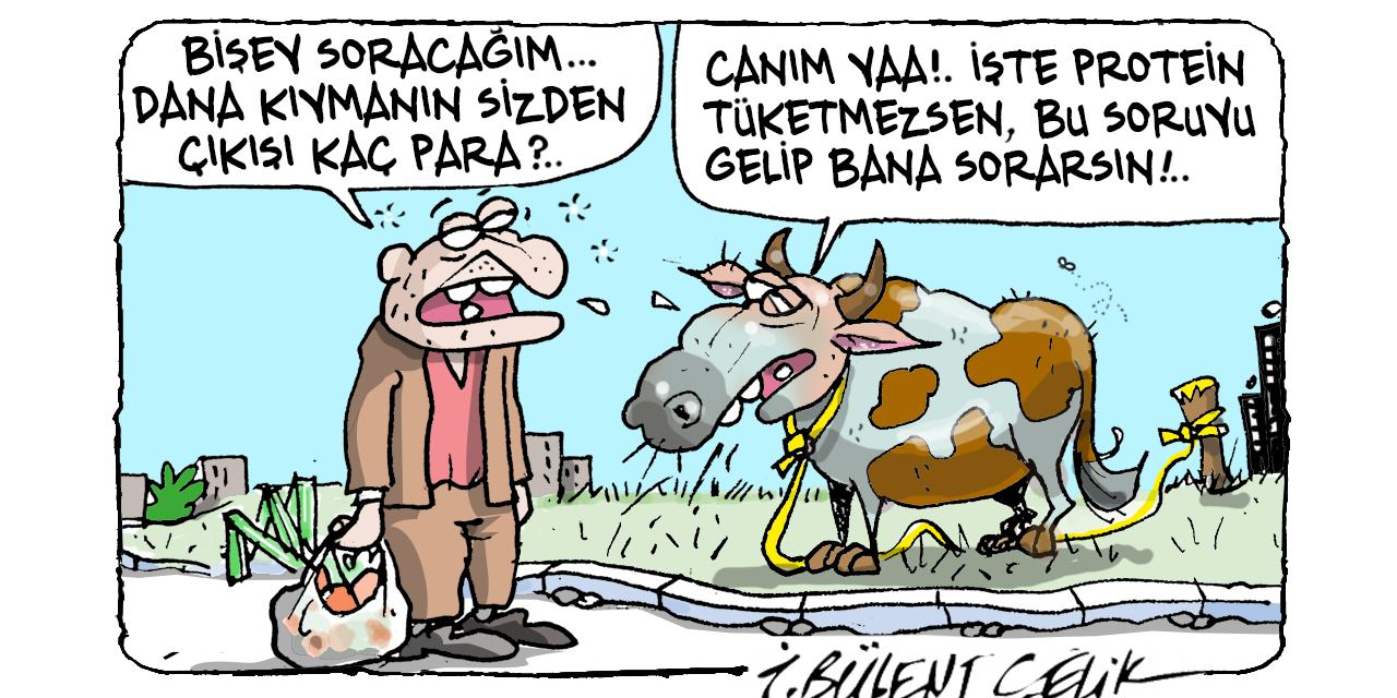 İ. Bülent Çelik'in 26 Kasım 2025 tarihli karikatürü