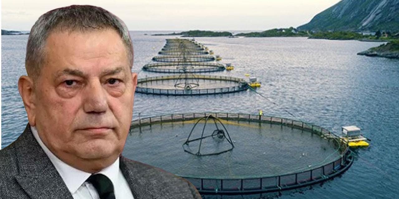 Kaçak balık çiftliği yaptı CHP'li vekili tehdit etti: Olay Erdoğan'a kadar gitti!