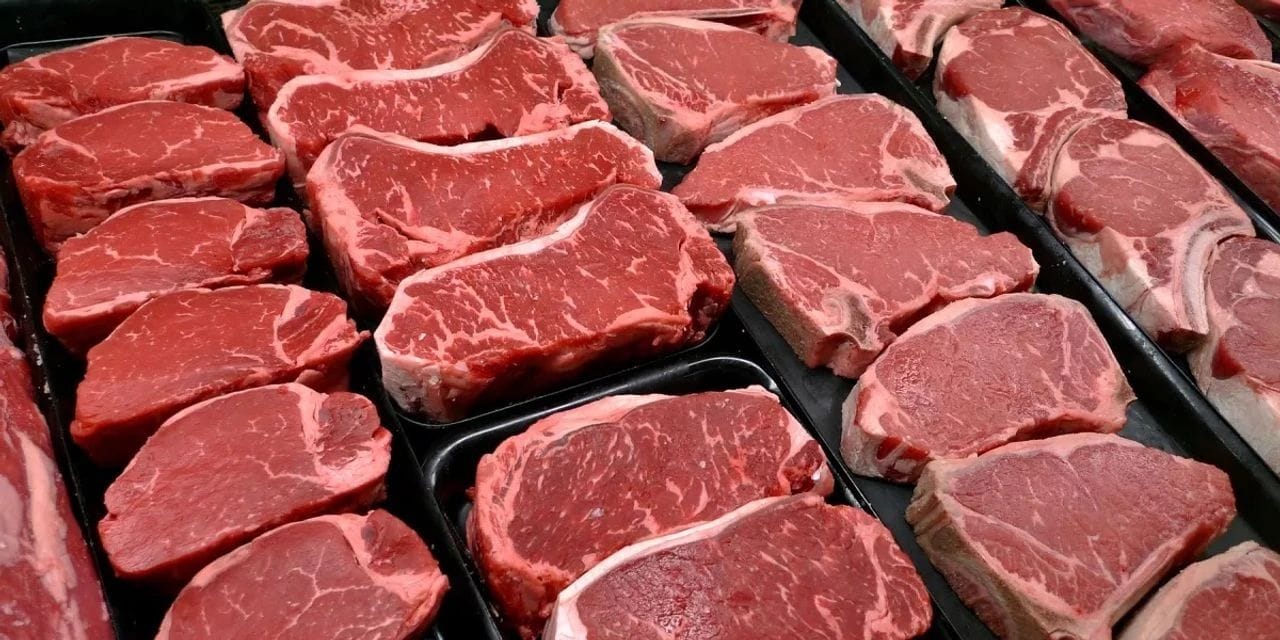 İstanbul'da kırmızı et fiyatı sabitlendi: İşte satış yeri ve fiyat listesi