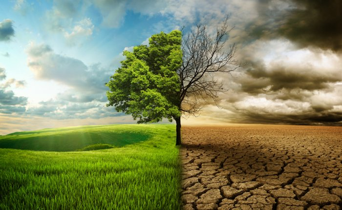 İklim zirvesinin ardından