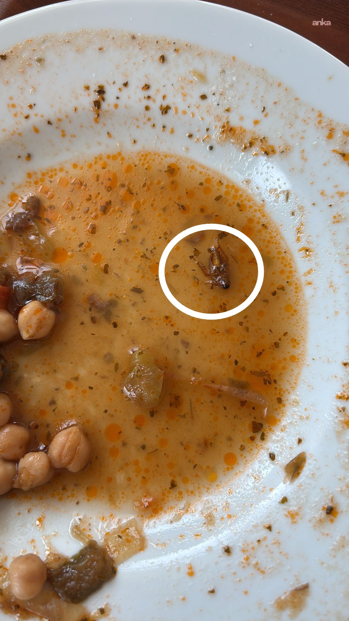 Gaziantep Üniversitesi Hastanesi'nde "böcekli yemek" iddiası