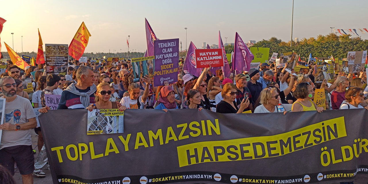 Anayasa Mahkemesi’nden ‘Hayvan Katliamı Yasası’ denilen kanuna onay