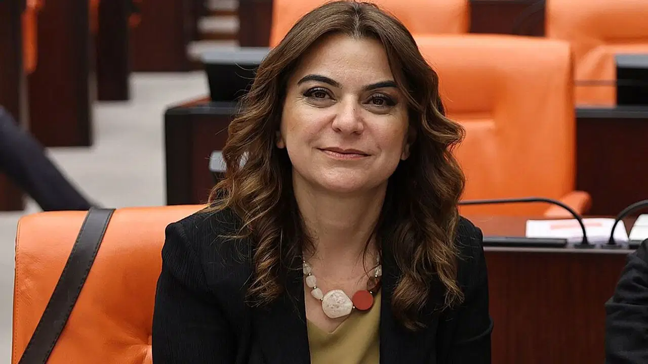 DEM Partili Koçyiğit konuştu: Öcalan İmralı görüşmesinde 'Bahçeli'ye darbe olur' dedi mi?