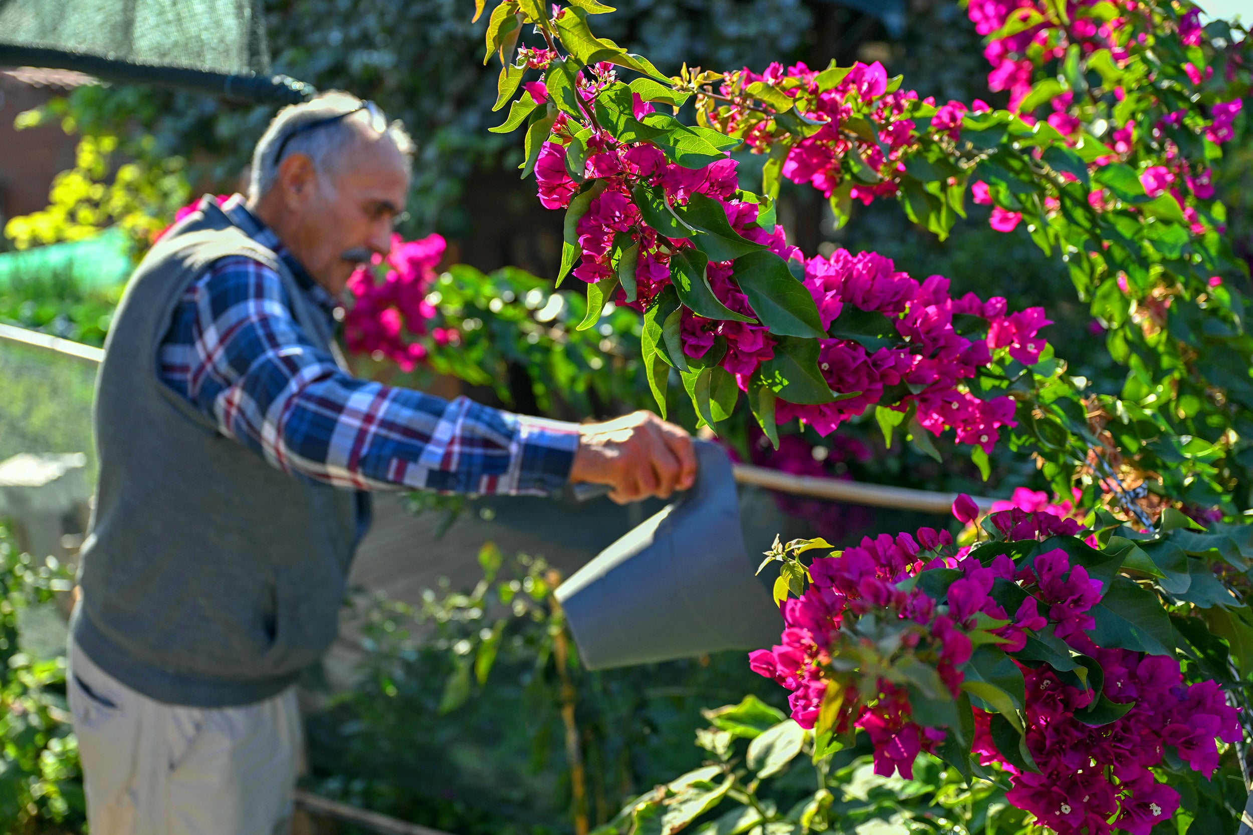 Mersin Hobi Parkı’nda kış hazırlıkları tamamlandı