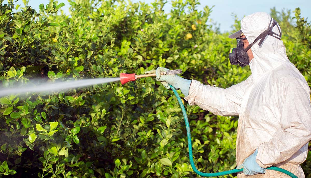 Böcek ilaçlarında yeni düzenleme: Reçetesiz satışı yasaklandı!