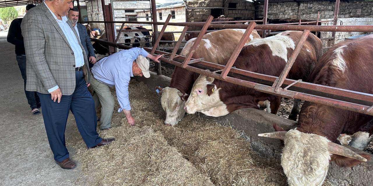 Sütün kaymağı yine üreticiye düşmedi!