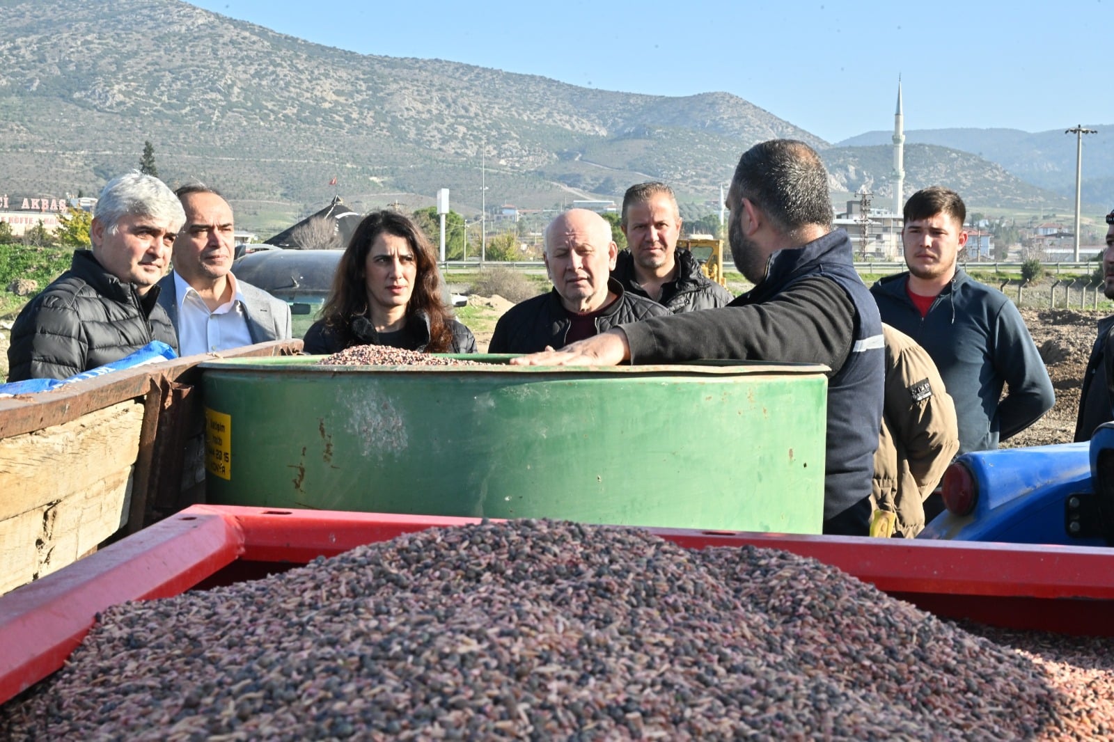 Manisa’da atıl meralar üretime kazandırılıyor