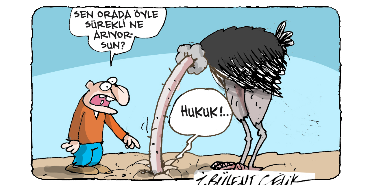 İ. Bülent Çelik'in 20 Aralık 2025 tarihli karikatürü