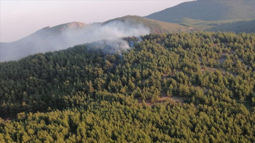 Muğla'da doğanın kalbine mermer ocağı hazırlığı: 6 ormanlık bölgede ÇED süreci başladı