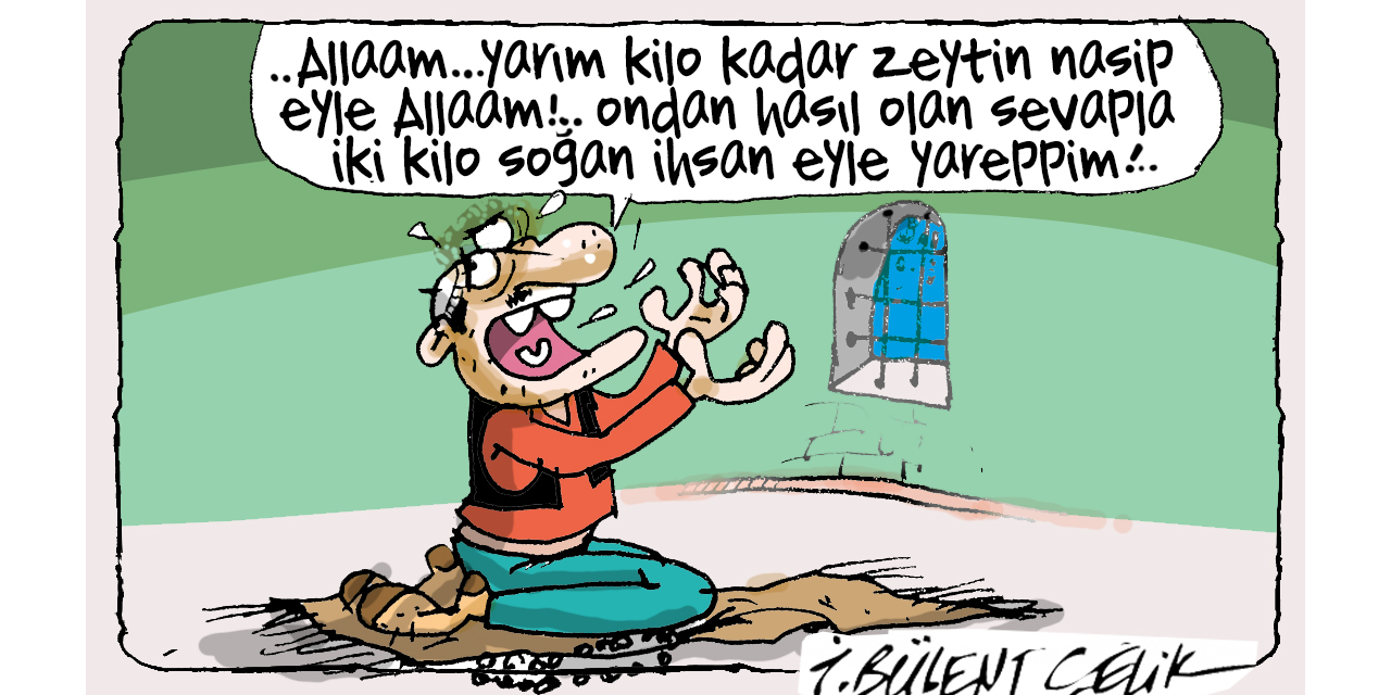 İ. Bülent Çelik'in 29 Aralık 2025 tarihli karikatürü