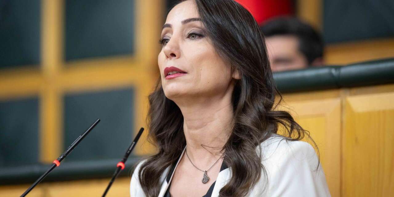 Hatimoğulları devletten taleplerini sıraladı: İşte DEM Parti'nin 7 talebi!