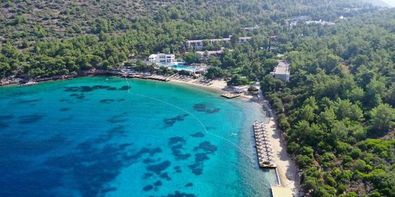 Kalyon'un otel projesine bakanlıktan onay: Ormanlık alana 5 yıldızlı tatil köyü!