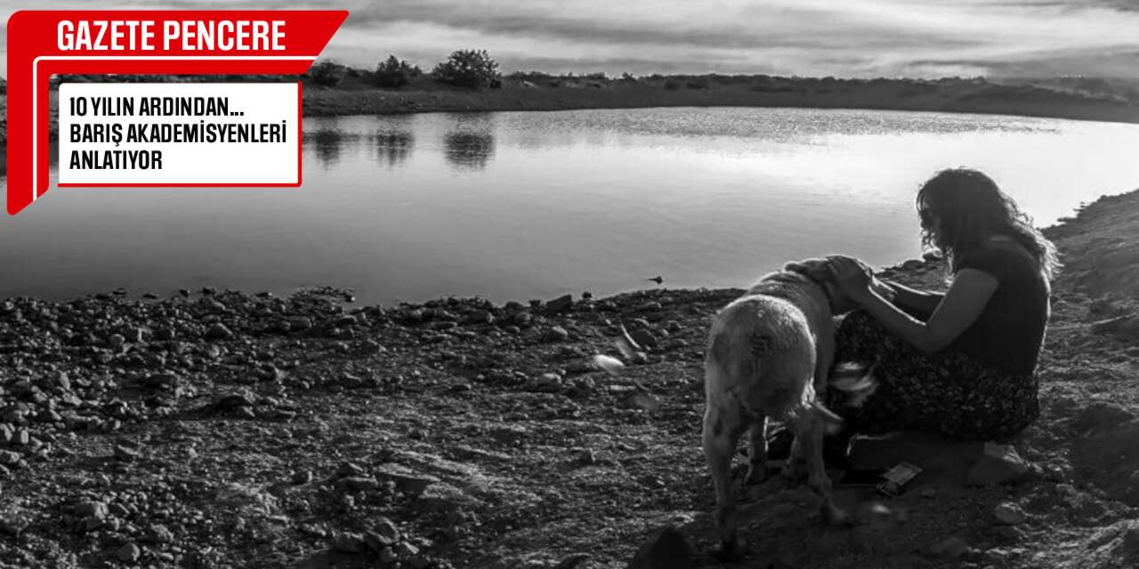 "Bir ev istiyorum dedim bir de kedi..."