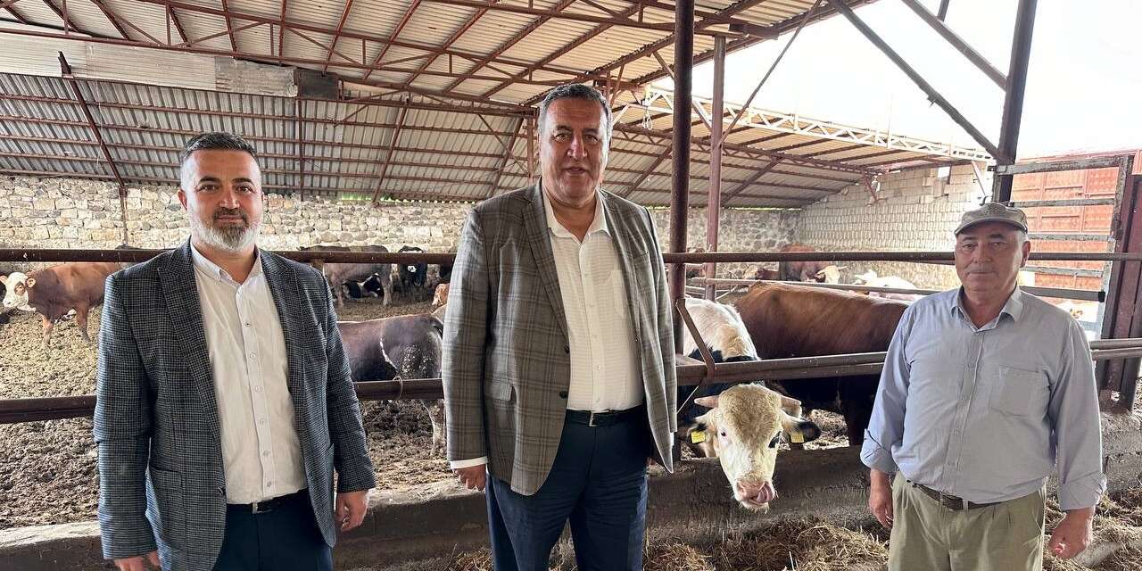 Sütte rakam inek sattırıyor, rafta yeni zam kapıda