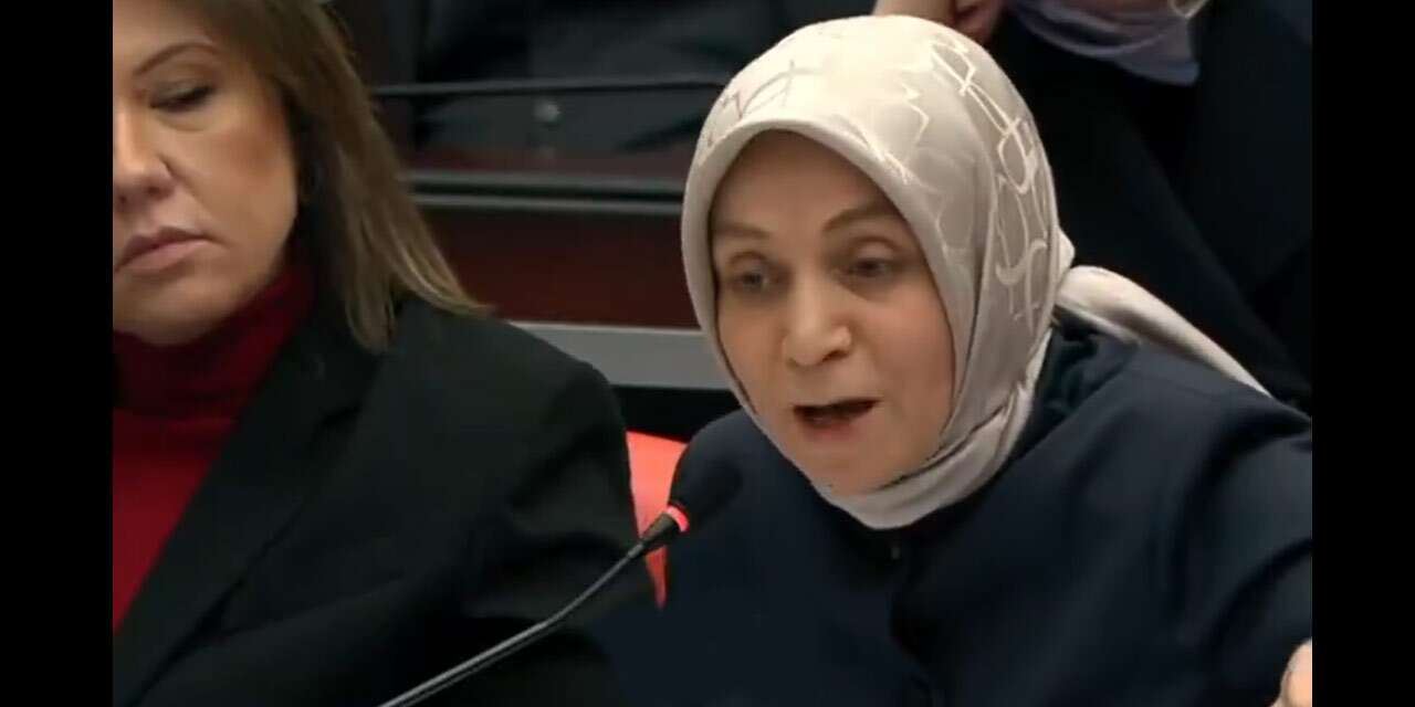 AK Partili Leyla Şahin Usta’dan tepki çeken sözler: ‘Aleviler öldürülüyor’ diyerek ortalığı ayağa kaldırıyor