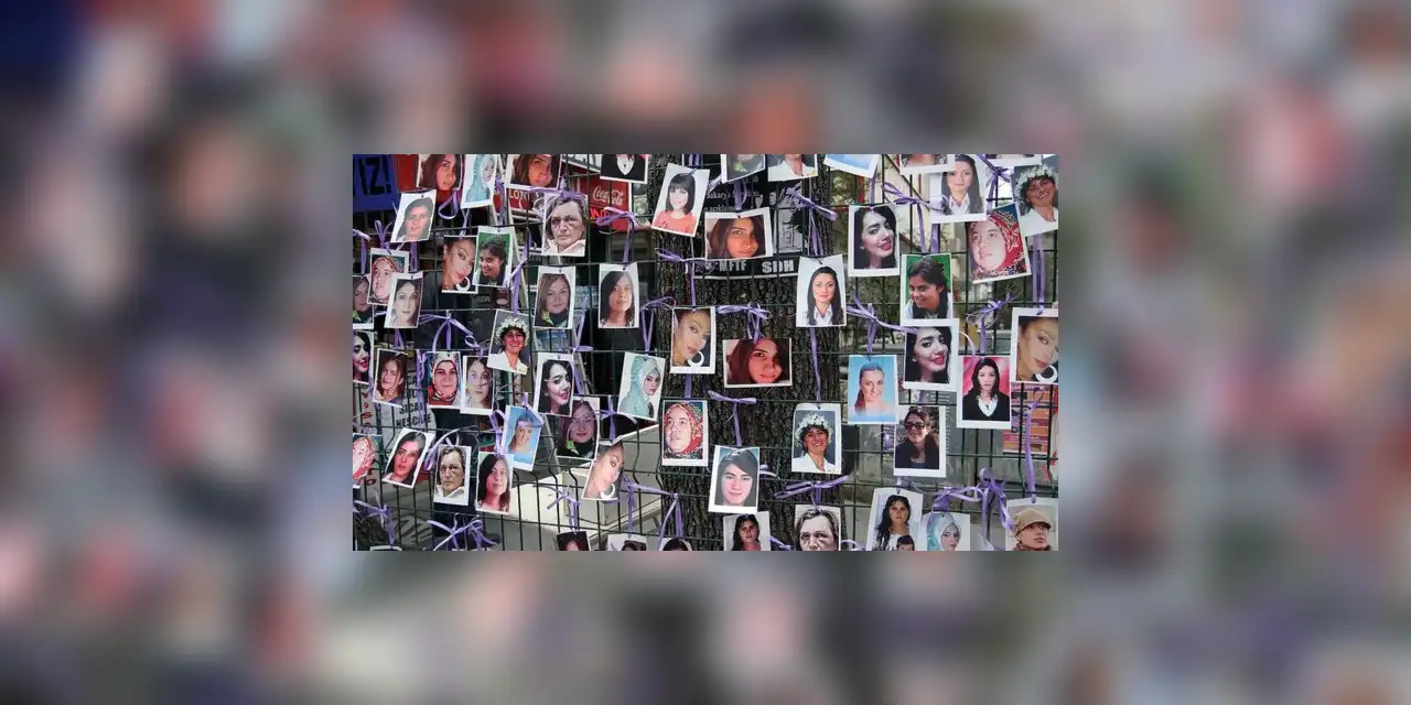 2025'te en az 294 kadın erkekler tarafından katledildi, şüpheli kadın ölümleri ilk kez kadın cinayetlerinin önüne geçti