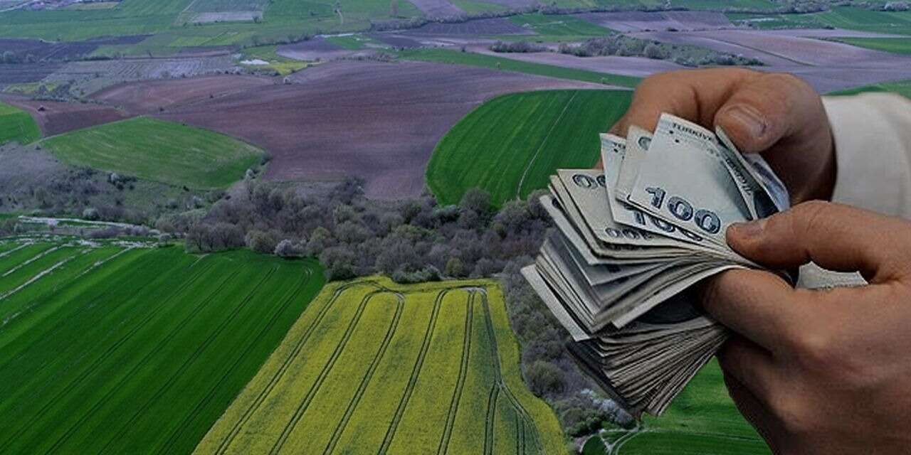 Endeksa açıkladı: İşte arazileri en çok 'değerlenen' iller