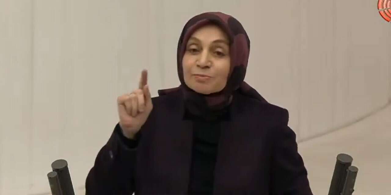 Leyla Şahin Usta'dan Alevi tepkilerine 'Dersimli' yanıt