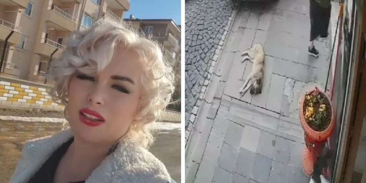 'Mardinli Marilyn Monroe' hapse girdi