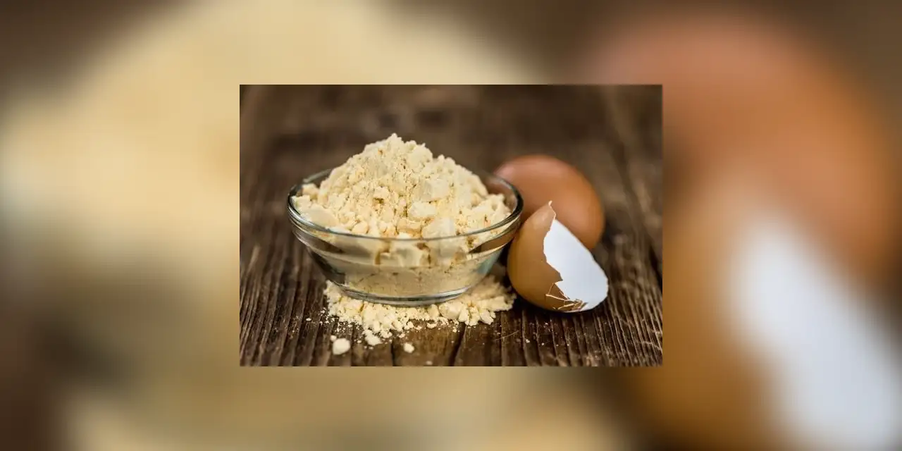 1 milyar TL'lik yeni yatırım yapılıyor: Yumurta tozu nerelerde kullanılıyor?