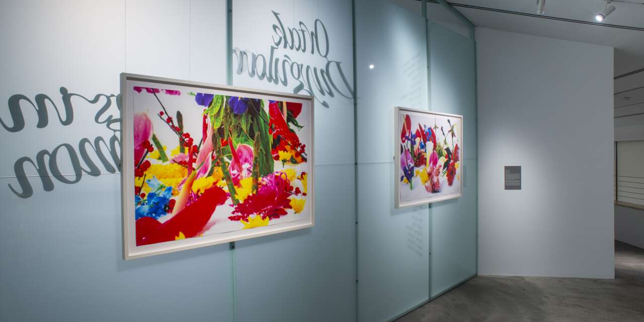 Pera Müzesi’nde iki sergi için son haftalar