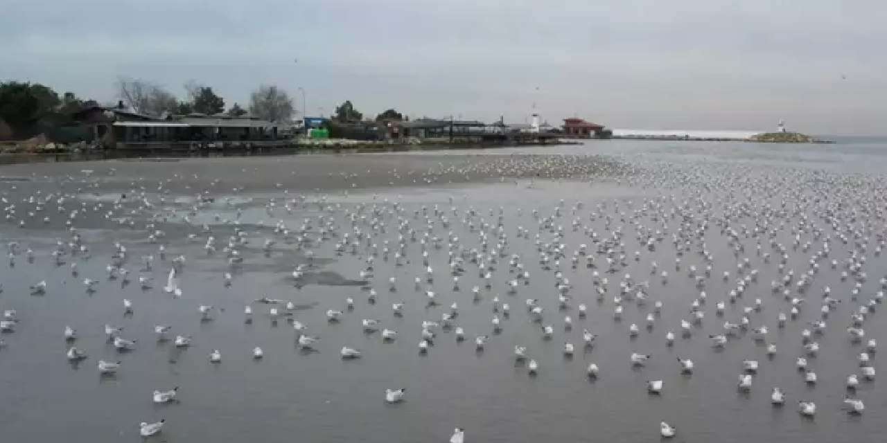 İstanbul’da korkutan görüntü: 250 metre birden çekildi