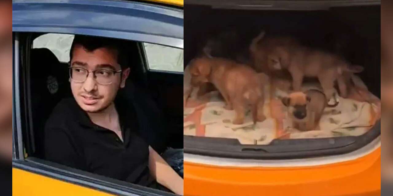 Köpeklere cinsel saldırıda bulunup öldüren doktor hakkındaki karar bozuldu: Duruşma kapalı yapılacak