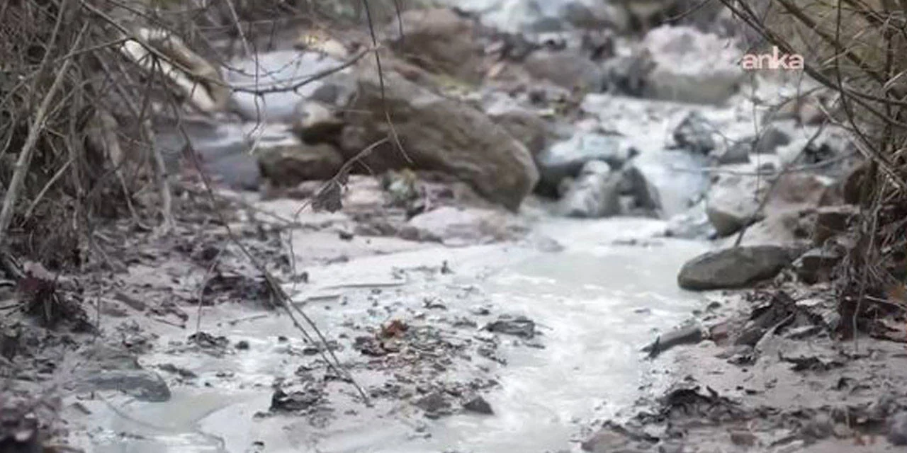 Bursa'da çevre felaketi: Maden atık barajı çöktü, kimyasal atık doğaya karıştı