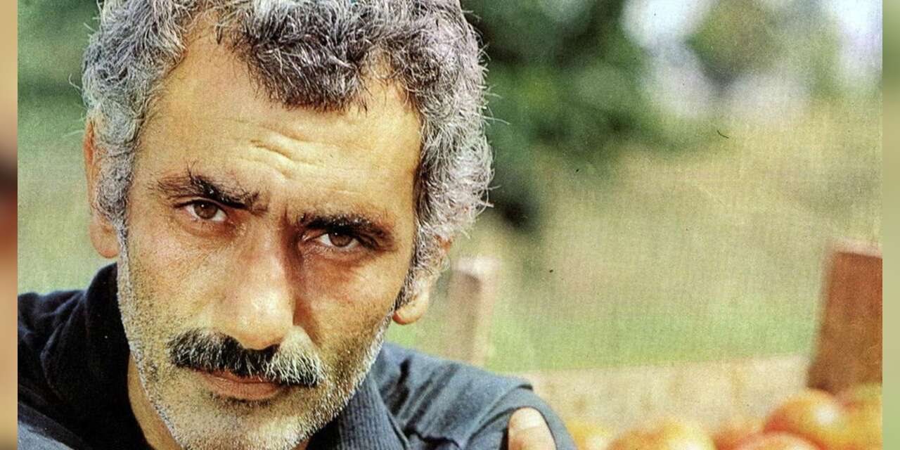 Cumhurbaşkanı Başdanışmanı'ndan savcı Engin'e Güney tepkisi: 'Şahsi PR çalışması'