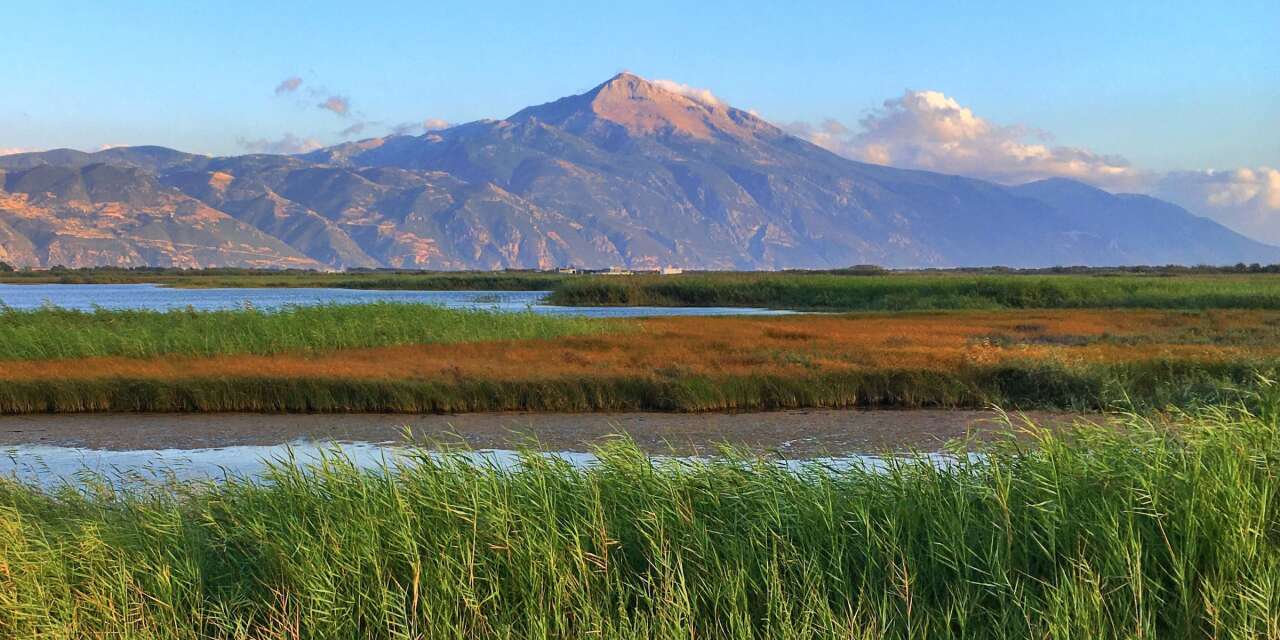 Milleyha’da doğa için buluşma: Gözlem merkezi 13 Şubat’ta açılıyor