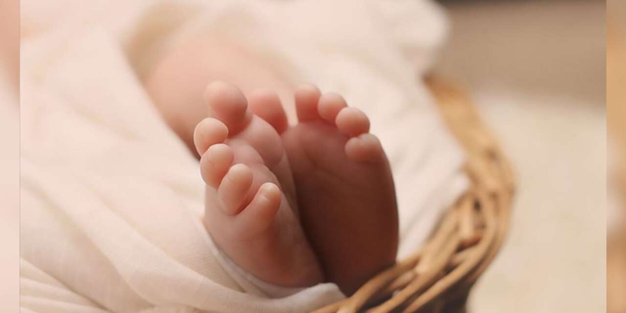 Ermeni nüfusu 2025'te erimeye devam etti: '527 vefat, 183 vaftiz'