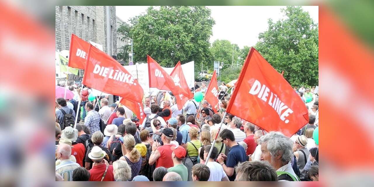 Almanya Sol Parti: Alman heyeti Türkiye’de gözaltına alındı