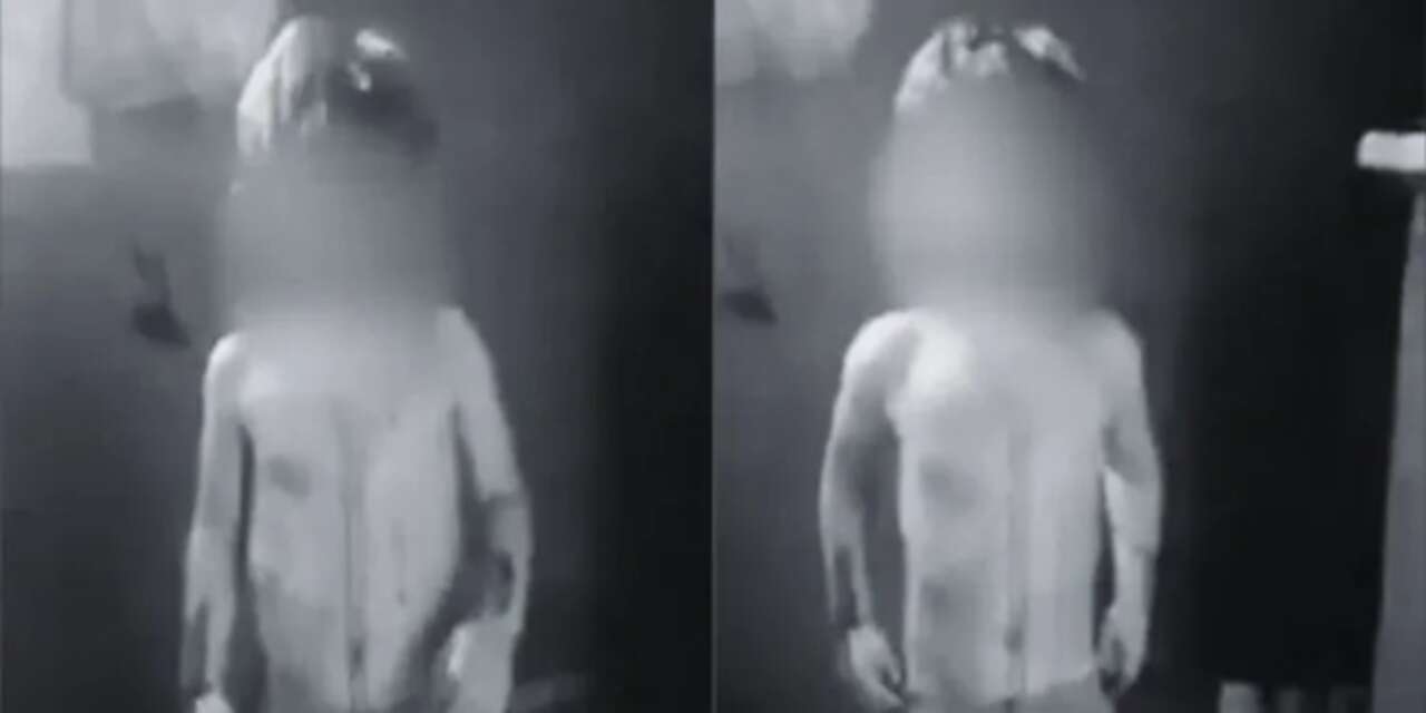 Video Epstein adasında Türkçe konuşan bir çocuğu mu gösteriyor?