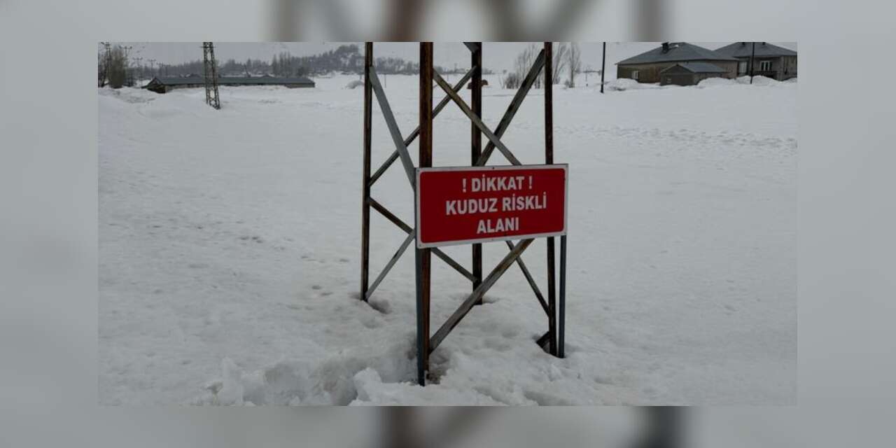 Yüksekova’da kuduz alarmı: Köy karantinaya alındı