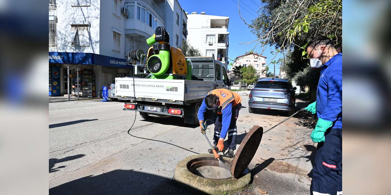 Antalya'da sivrisineklerle mücadele kış aylarından başladı