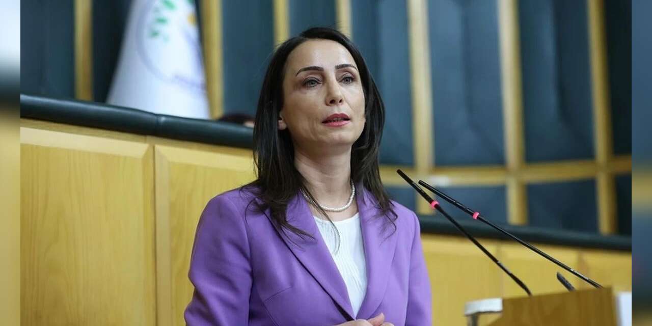 Hatimoğulları'ndan Hakan Fidan'a tepki: Sürecin ruhuna aykırı!