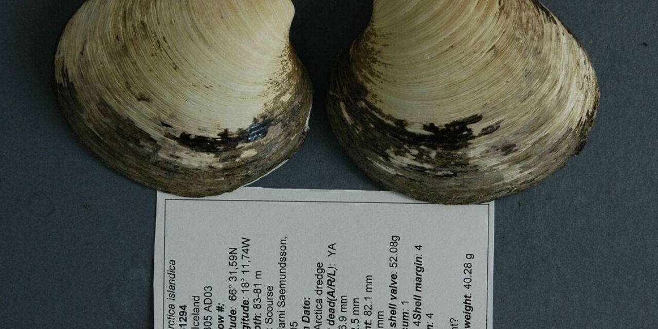 507 yıl yaşadı: Bulunduğu gün öldü