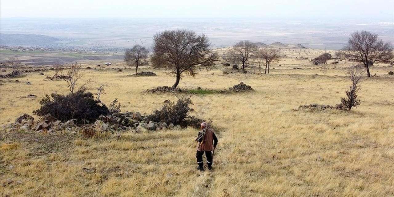 TÜİK'ten şaşırtan veri: Bu 3 köyde 3 kişi yaşıyor