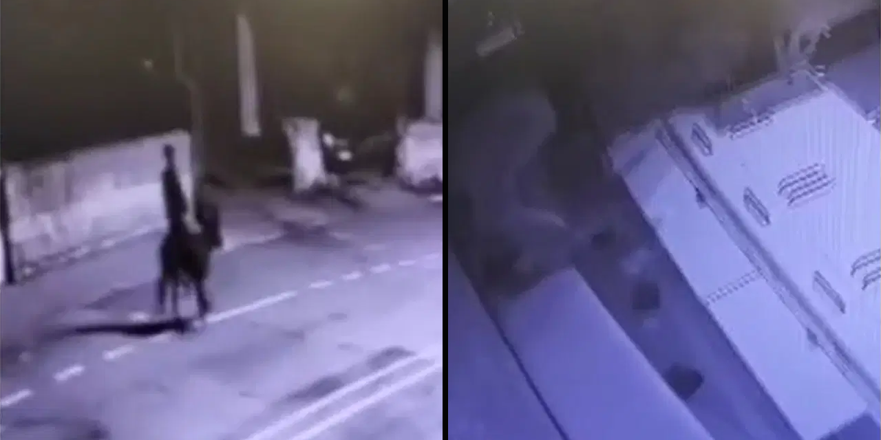 Kuyumcuda forkliftli soygun: 150 gram altını çaldı, eşek ile kaçtı