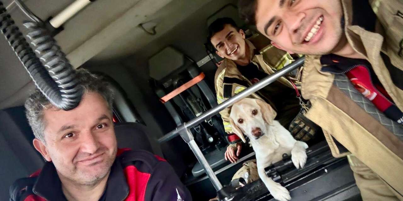 İzmir'de yükselen suda mahsur kalan köpeği itfaiye kurtardı