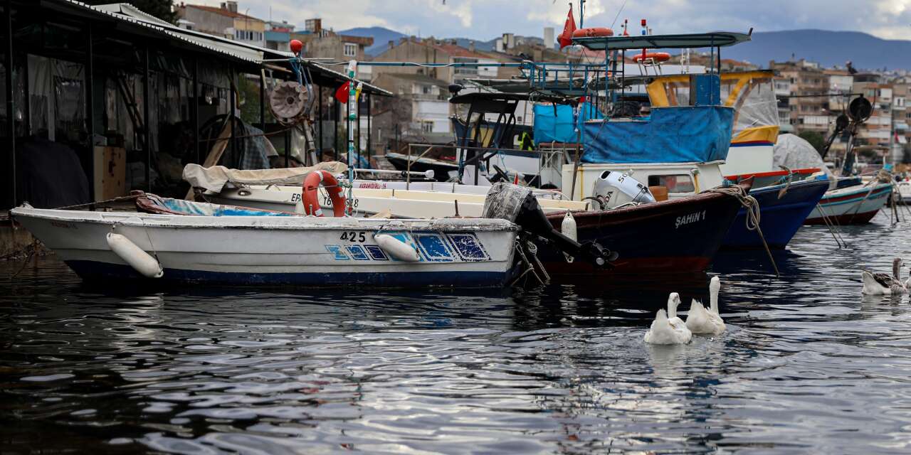 Bursalı balıkçılara belediyeden destek: Balık sizden, mazot bizden