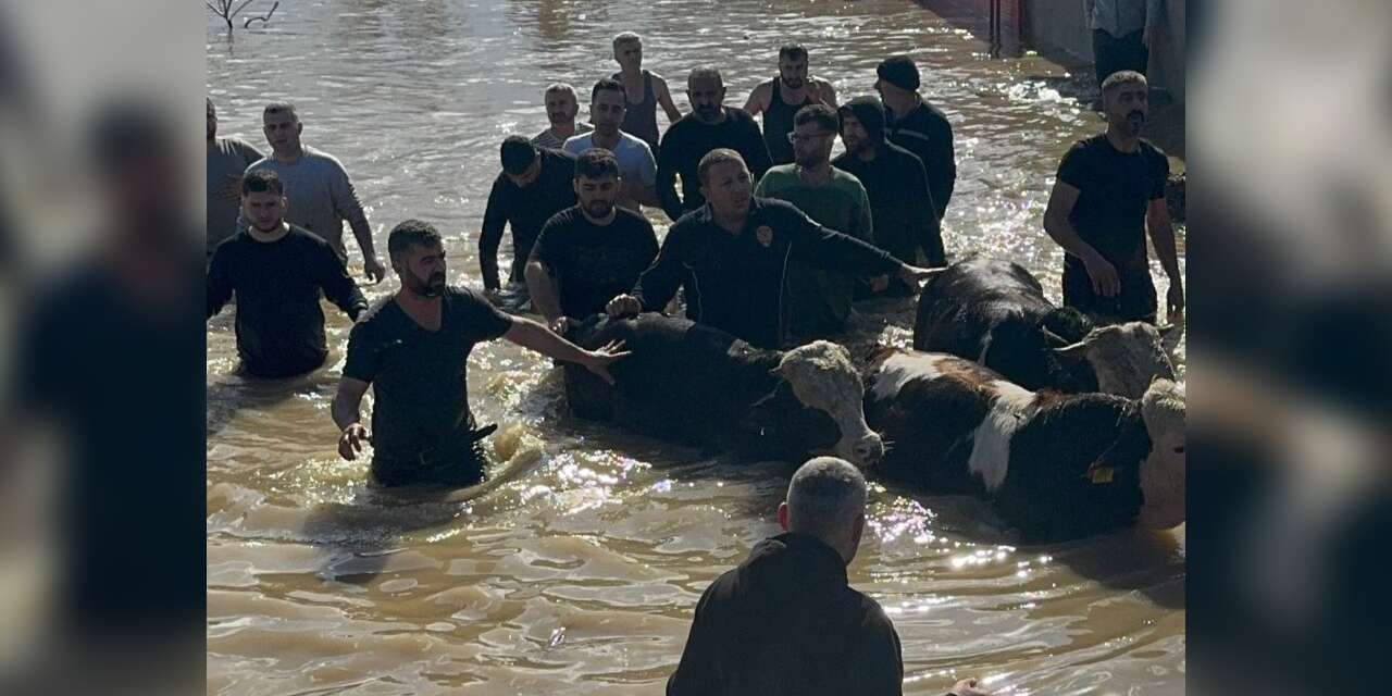 Gediz taştı, Manisa’da 44 kişi ve 127 hayvan selden tahliye edildi