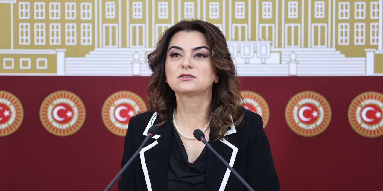 Koçyiğit: Taslak metinde kabul etmeyeceğimiz yaklaşımlar var