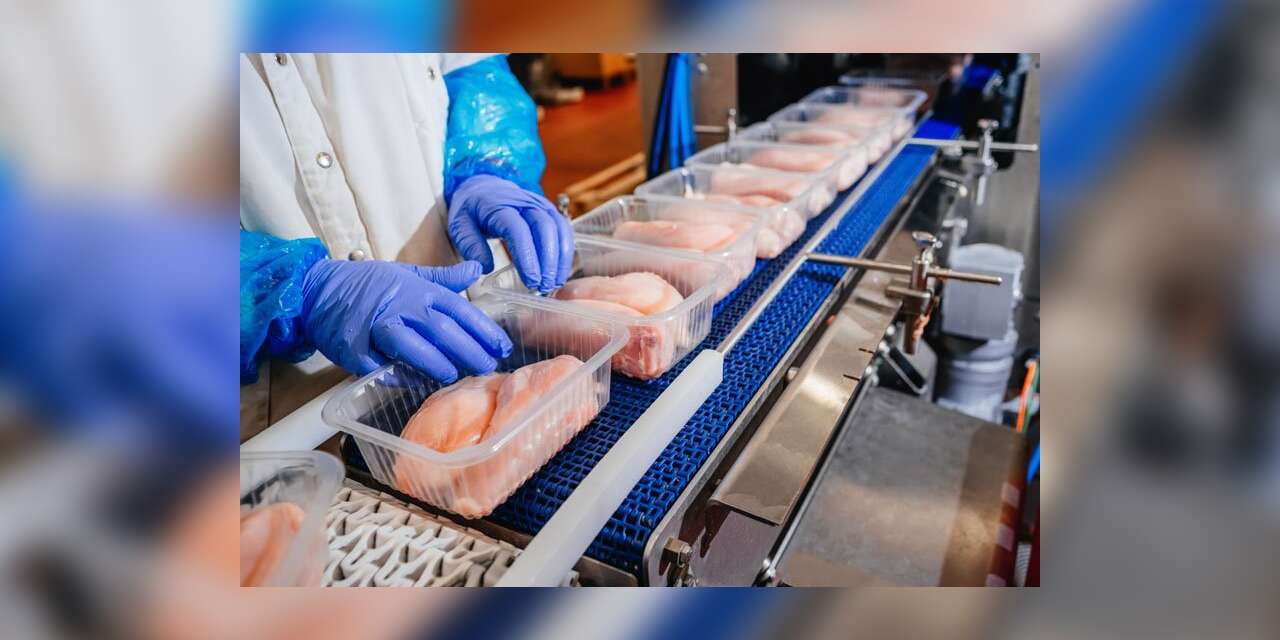 Tavuk eti ihracatı durdurulmuştu: Veteriner Hekimler Derneği'nden arz güvenliği uyarısı