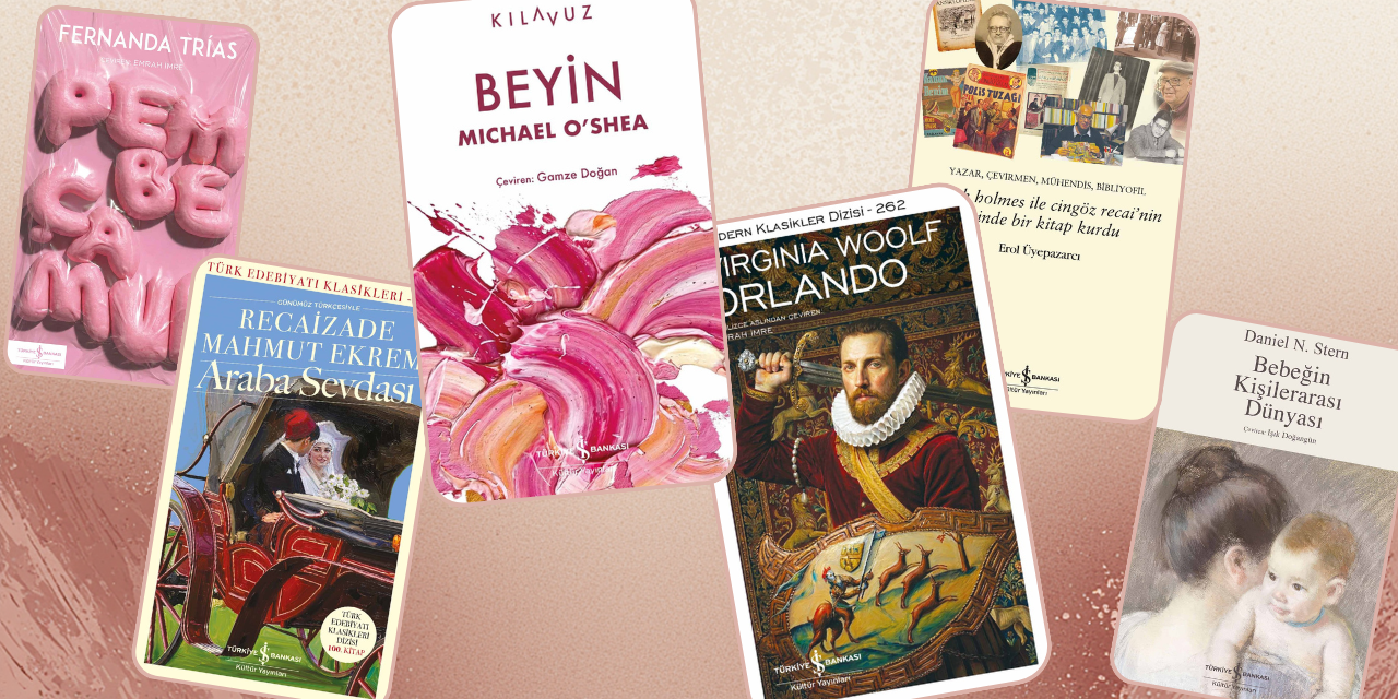 İş Kültür’den Woolf’tan Üyepazarcı’ya uzanan yeni kitaplar